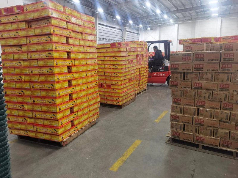 青岛物连接全球：物流行业的最新动态